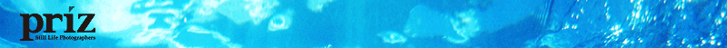 b2